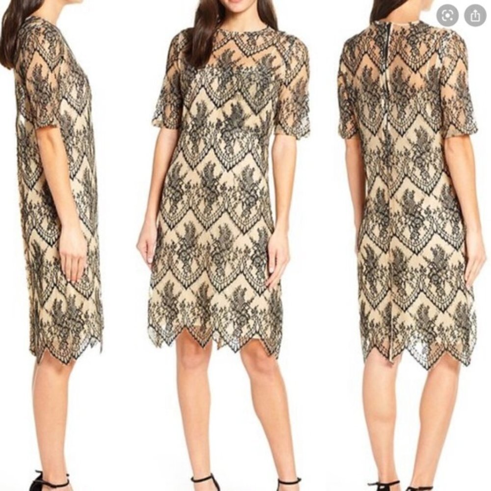 Caara Scalloped Lace Shift Dress Black Beige Size Small new with tags #115